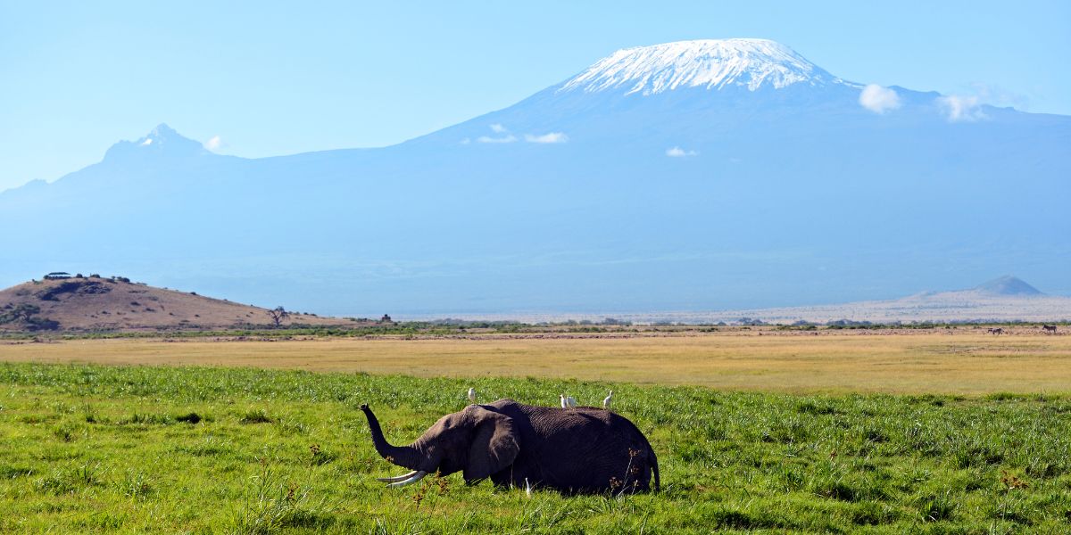 Amboseli National Park
